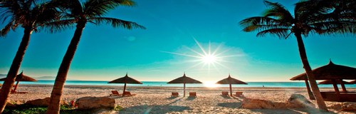 Da Nang beach with palm trees and sunshine — weather by month guide