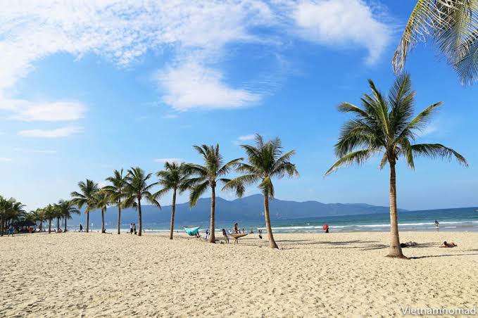 My Khe Beach palm trees - Da Nang
